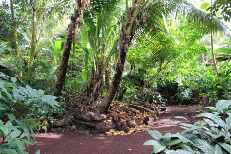 Paradise Eco Village Pahoa Экстерьер фото