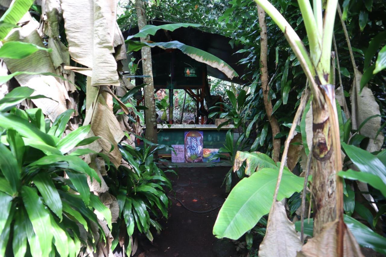 Paradise Eco Village Pahoa Экстерьер фото