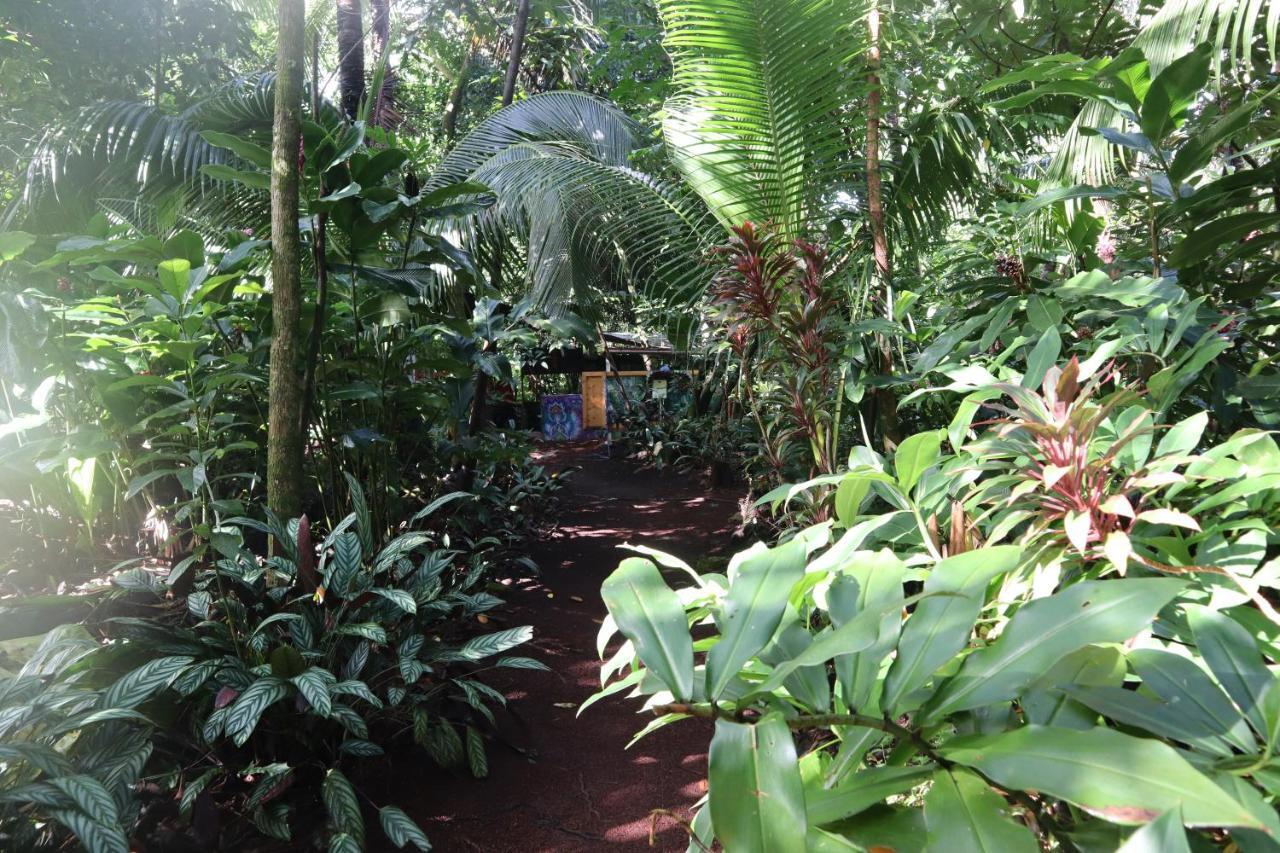 Paradise Eco Village Pahoa Экстерьер фото