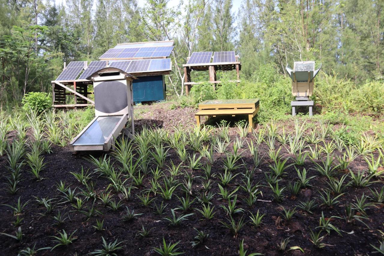 Paradise Eco Village Pahoa Экстерьер фото